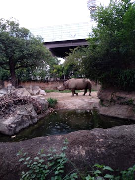 天王寺動物園に投稿された画像（2020/9/6）
