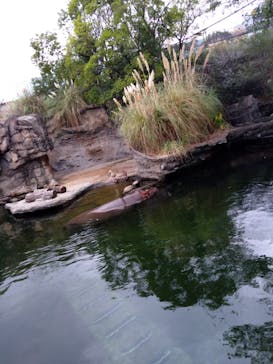 天王寺動物園に投稿された画像（2020/9/6）