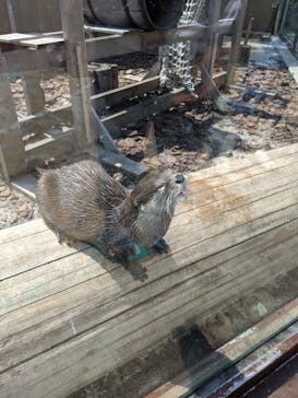 横浜・八景島シーパラダイスに投稿された画像（2020/9/6）