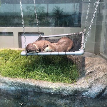 サンシャイン水族館に投稿された画像（2020/9/6）