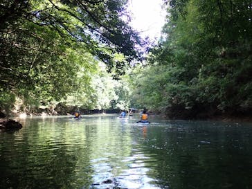 Verde Odai（ベルデオオダイ）に投稿された画像（2020/9/6）