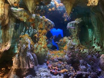 サンシャイン水族館に投稿された画像（2020/9/6）