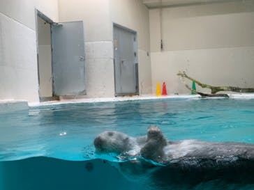 鳥羽水族館に投稿された画像（2020/9/6）