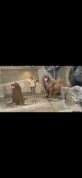 鳥羽水族館に投稿された画像（2020/9/6）