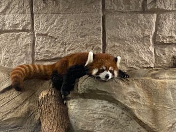 天王寺動物園に投稿された画像（2020/9/6）