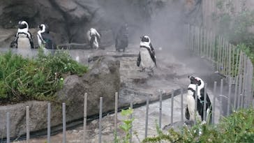 サンシャイン水族館に投稿された画像（2020/9/6）
