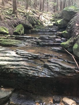 赤目四十八滝エコツアーデスクに投稿された画像（2020/9/7）