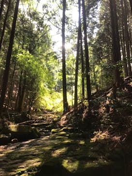 赤目四十八滝エコツアーデスクに投稿された画像（2020/9/7）