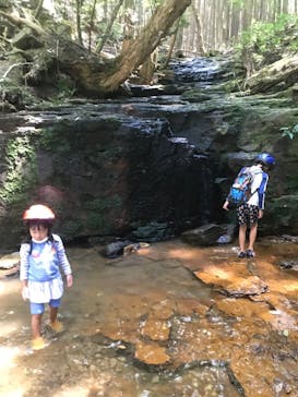 赤目四十八滝エコツアーデスクに投稿された画像（2020/9/7）