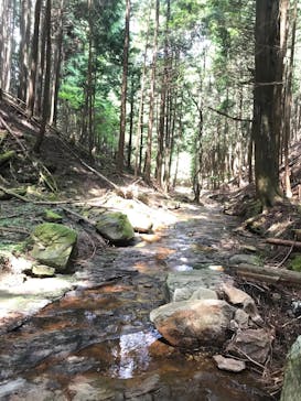 赤目四十八滝エコツアーデスクに投稿された画像（2020/9/7）