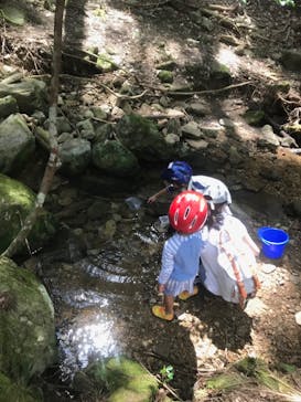 赤目四十八滝エコツアーデスクに投稿された画像（2020/9/7）