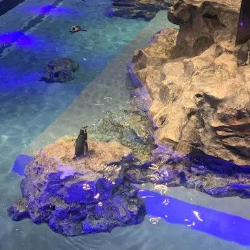 すみだ水族館に投稿された画像（2020/9/7）