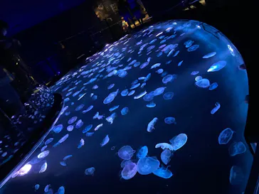 すみだ水族館に投稿された画像（2020/9/7）