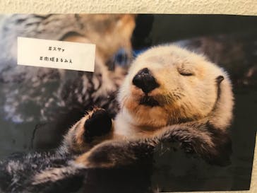 株式会社Gに投稿された画像（2020/9/7）