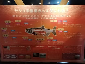 サケのふるさと 千歳水族館に投稿された画像（2020/9/7）