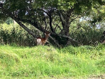 Old Place（オールドプレイス）に投稿された画像（2020/9/7）