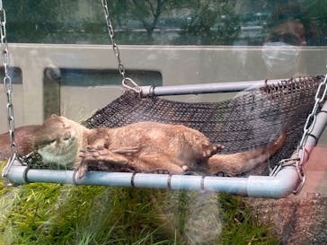 サンシャイン水族館に投稿された画像（2020/9/7）