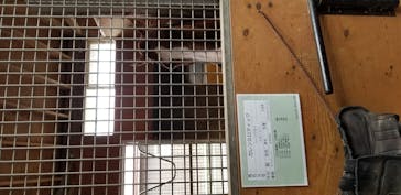 ノーザンホースパークに投稿された画像（2020/9/7）