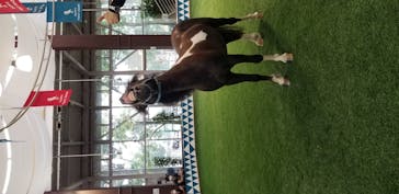 ノーザンホースパークに投稿された画像（2020/9/7）