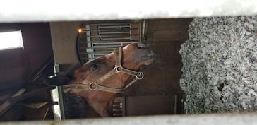 ノーザンホースパークに投稿された画像（2020/9/7）