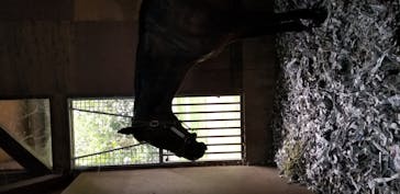 ノーザンホースパークに投稿された画像（2020/9/7）