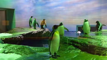 島根県立 しまね海洋館に投稿された画像（2020/9/7）