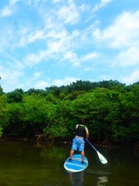 西表島 ADVENTURE PiPi（アドベンチャーピピ）に投稿された画像（2020/9/7）