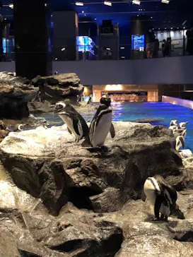 すみだ水族館に投稿された画像（2020/9/7）