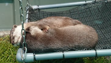 サンシャイン水族館に投稿された画像（2020/9/7）