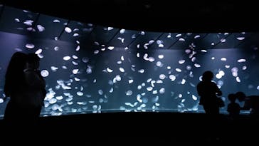 サンシャイン水族館に投稿された画像（2020/9/7）