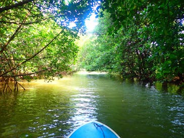 石垣島 ADVENTURE PiPi（イシガキジマアドベンチャーピピ）に投稿された画像（2020/9/7）