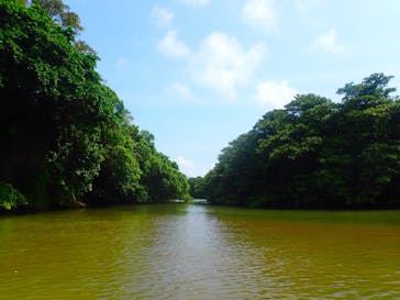 石垣島 ADVENTURE PiPi（イシガキジマアドベンチャーピピ）に投稿された画像（2020/9/7）