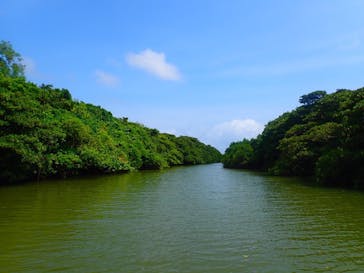 石垣島 ADVENTURE PiPi（イシガキジマアドベンチャーピピ）に投稿された画像（2020/9/7）