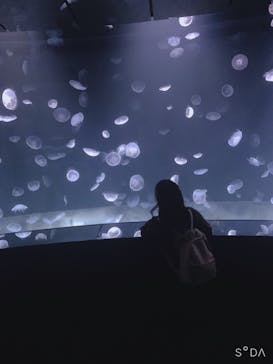 サンシャイン水族館に投稿された画像（2020/9/7）