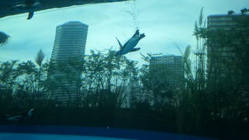 サンシャイン水族館に投稿された画像（2020/9/7）