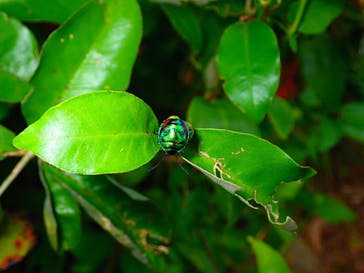 石垣島 ADVENTURE PiPi（イシガキジマアドベンチャーピピ）に投稿された画像（2020/9/7）