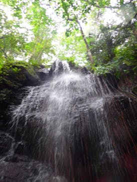 石垣島 ADVENTURE PiPi（イシガキジマアドベンチャーピピ）に投稿された画像（2020/9/7）