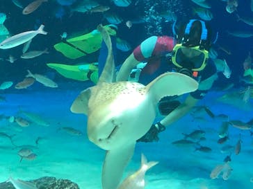 サンシャイン水族館に投稿された画像（2020/9/7）