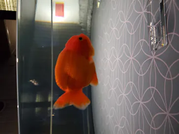 すみだ水族館に投稿された画像（2020/9/8）