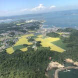 松島熱気球・パラグライダー体験に投稿された画像（2020/9/8）