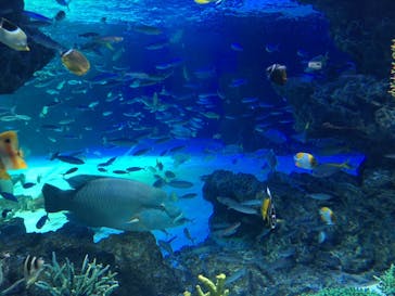 サンシャイン水族館に投稿された画像（2020/9/8）