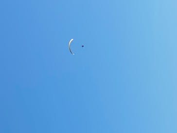 松島熱気球・パラグライダー体験に投稿された画像（2020/9/8）