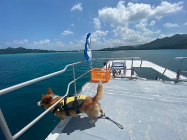 マリンショップtaitaiに投稿された画像（2020/9/8）