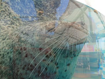 京都水族館に投稿された画像（2020/9/8）