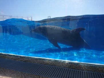 京都水族館に投稿された画像（2020/9/8）