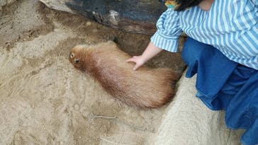 神戸どうぶつ王国に投稿された画像（2020/9/8）