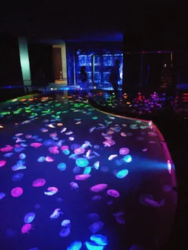 すみだ水族館に投稿された画像（2020/9/9）