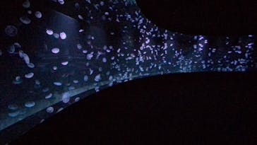 サンシャイン水族館に投稿された画像（2020/9/9）