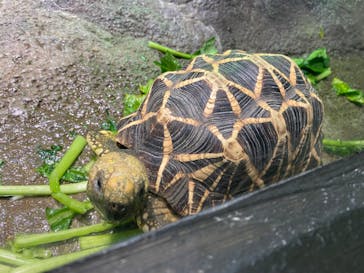 サンシャイン水族館に投稿された画像（2020/9/9）