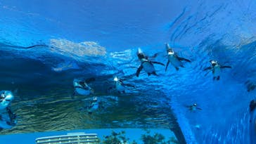 サンシャイン水族館に投稿された画像（2020/9/9）